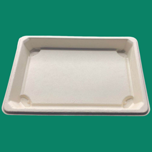 SS-10 Sushi tray