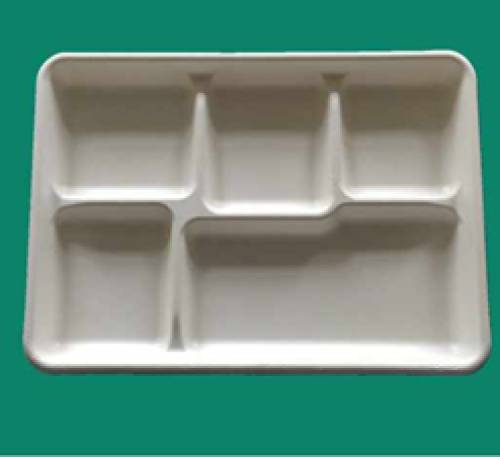 FT051 5-Compartment Tray