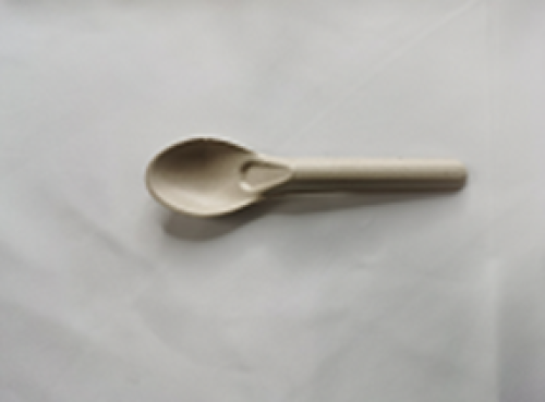 S01 Spoon